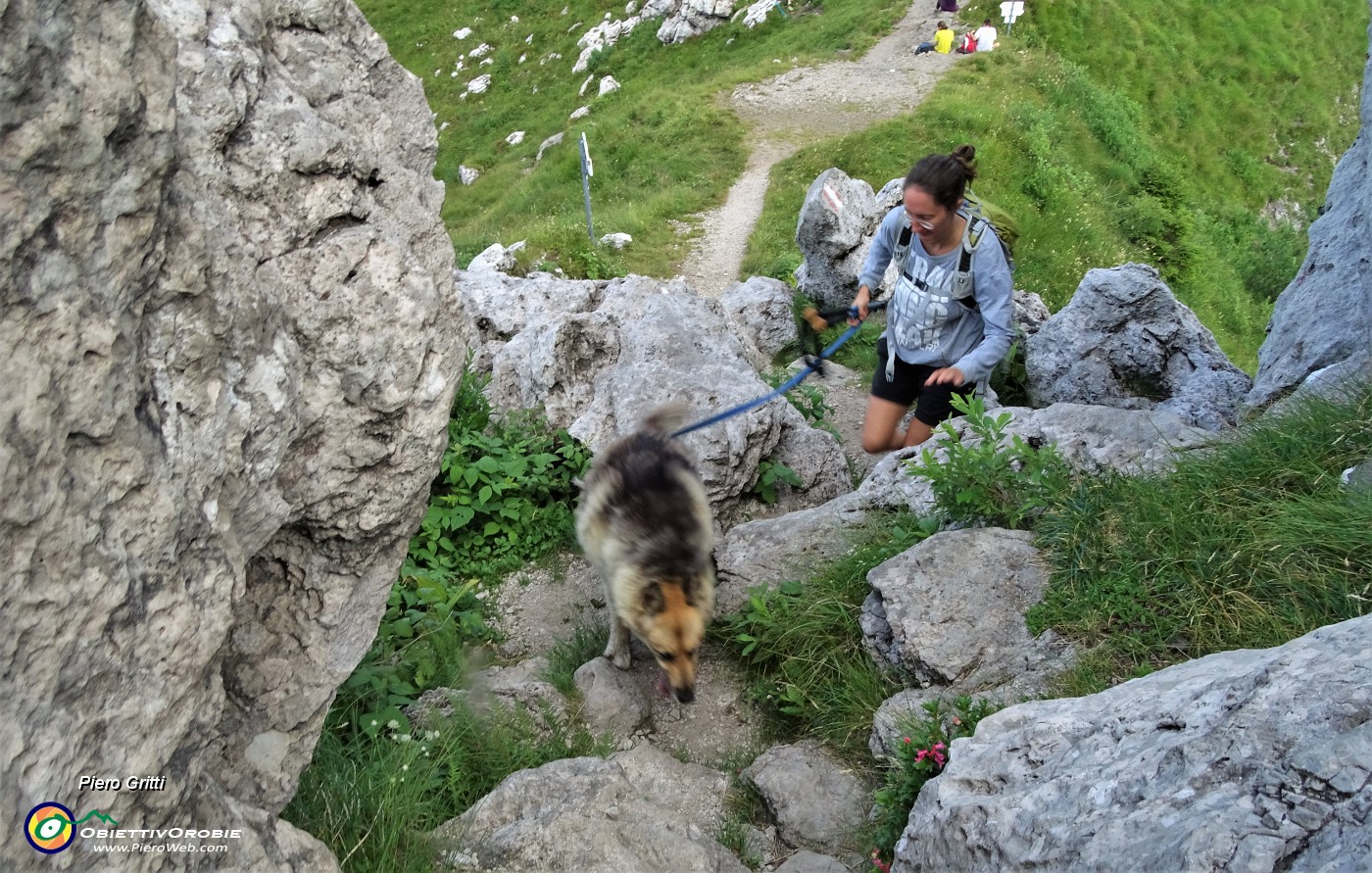 30 Dori tocca a te, stavolta non sei cucciola e ce la farai !.JPG